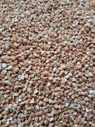 Kasza gryczana BEZ GLIFOSATU 