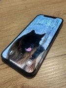 Używany iPhone 12 Pro w 100% oryginalnym stanie.