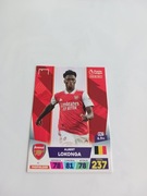 Sprzedam karte panini premier league 41