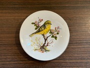 Royal Kendal 1985 talerzyk dekoracyjny z ptakiem – Fine Bone China England