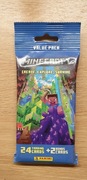 Minecraft Saszetka Value Pack karty Panini Create Explore Survive 24+2