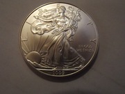 1 dolar USA. Moneta inwestycyjna. Mennicza. 1 oz, 9999.Rok 2009.