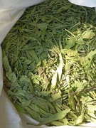 Liść ziele babka lancetowata 1000 g 1 kg 1000