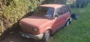 Fiat 126  Maluch