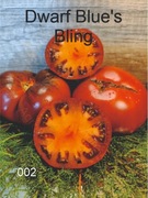 002-Dwarf Blue's Bling. Pomidory kolekcjonerskie.