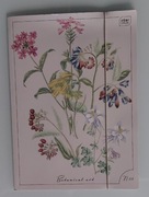 Teczka tekturowa A4 z gumką