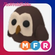 Roblox Adopt Me Owl MFR