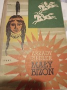 Mały Bizon Arkady Fiedler