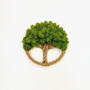 Drzewko Szczęścia Chrobotek, żywy obraz, handmade, dekoracja na ścianę 22