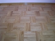 PARKIETY, RÓŻNE GATUNKI, RÓŻNE WYMIARY
