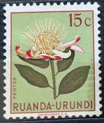 Ruanda-Urundi, kwiat Protea, 15 centymów