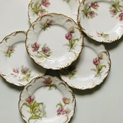 Limoges cudowny zest. 6 talerzy deserowych ca.1900