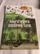 Młody obserwator przyrody – warstwowa budowa lasu