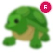 Turtle Adopt Me AM