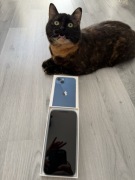 iPhone 13 | Blue | 128GB | brak rys | stan bardzo dobry