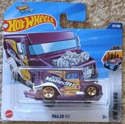 Hot Wheels 2025 TH Mailed IT! 57/250