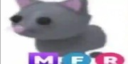 MFR Cat "Adopt me" roblox 