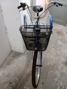 Rower trójkołowy dla dorosłych enero