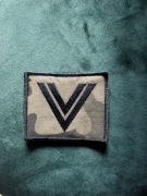 Dystynkcja na kurtkę polową