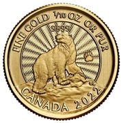 niedźwiedź polarny moneta 1/10 uncji złota Kanada mennica dowód zakupu