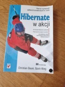 Hibernate w akcji - popraw wydajność aplikacji bazodanowych w Javie