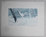 Friedrich Iwan "Kolonia Wielka Isera pod Swieradowem"