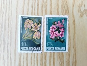 Znaczki Rumunia 1974 kwiaty (kasowane)