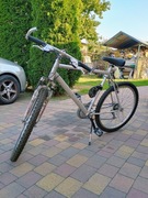 Rower górski       . 