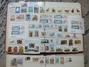 64szt. znaczki blok Fi 2865 / Fi 2927 KOMPLET ROCZNIK 1986 Polska czyste **