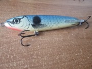 Salmo Poland Sweeper 14 