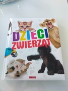Dzieci  zwierząt