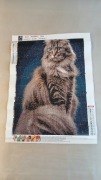 Obrazek kot Maine Coon