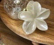 Perłowa klamra kwiat 