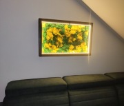 Obraz 3D chrobotek mech 85x52 oświetlenie LED 