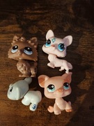 Lps Littlest pet shop zestaw 4 szt świnka pieski pomeranian corgi chomik