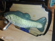 Stara ryba śpiewająca i 