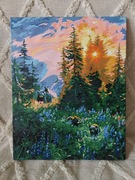 Gotowy obraz z malowania po numerach