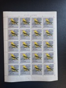 Ark 1573 ** Ptaki leśne - wilga 1966r.