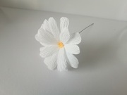Stokrotka kwiaty z krepiny
