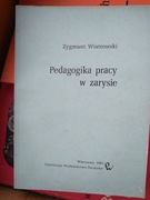 Pedagogika pracy w zarysie Wiatrowski