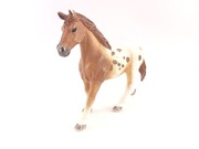 Figurka Schleich - Koń Konik Appaloosa 2017 [h44]