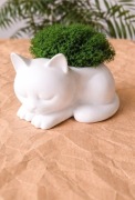 Doniczka kotek z mchem – dekoracja 10 cm, figurka kot, rękodzieło, doniczka
