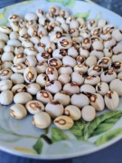 Fasolka z hostią, eucharystyczna