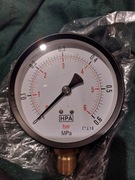 Manometr 6 bar 100mm