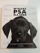 Wybierz psa dla siebie 