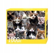 Puzzle koty 1000 sztuk 