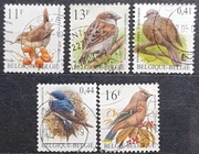 Belgia Fauna Ptaki 5