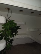 Terrarium dla gekona lamparciego 