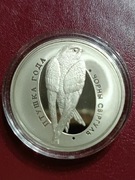 Ptak roku jerzyk zwyczajny 1 rubel 2012