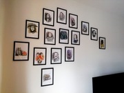 Akwarele A5 15 szt Rodzina Addamsów 